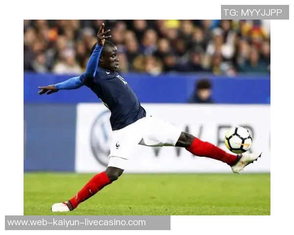 UFC猿人与冰人激烈对决谁将成为终极战斗之王